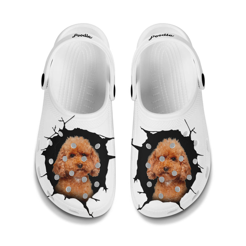 Poodle - 3D Graphic Custom Name Crocs Shoes