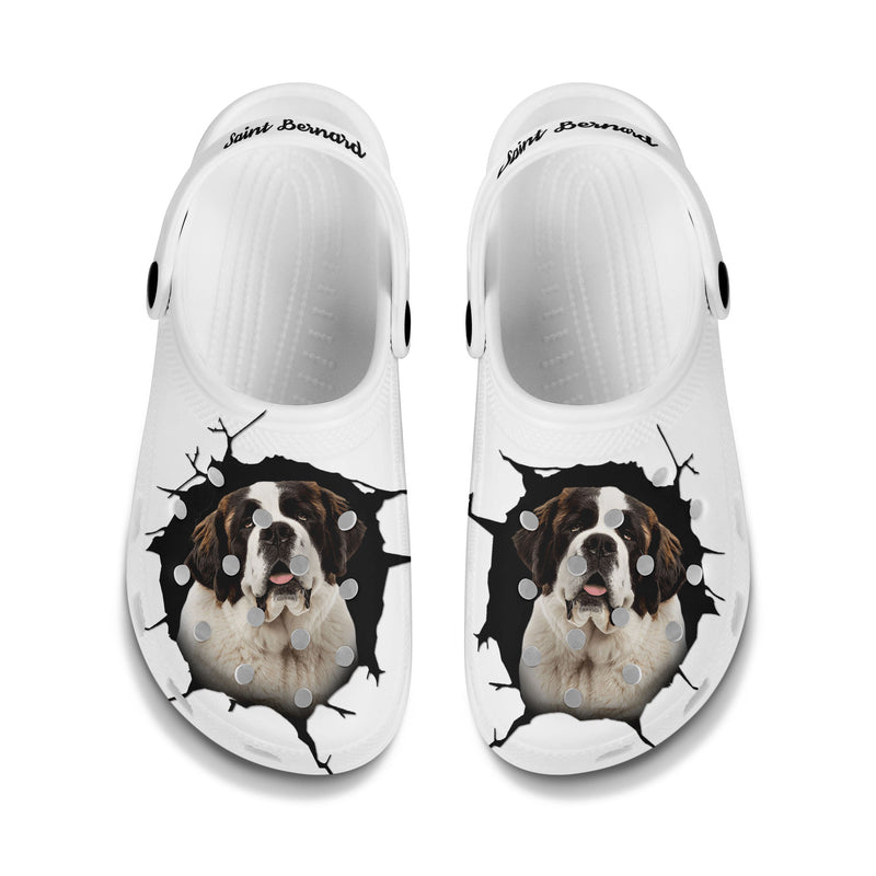 Saint Bernard - 3D Graphic Custom Name Crocs Shoes