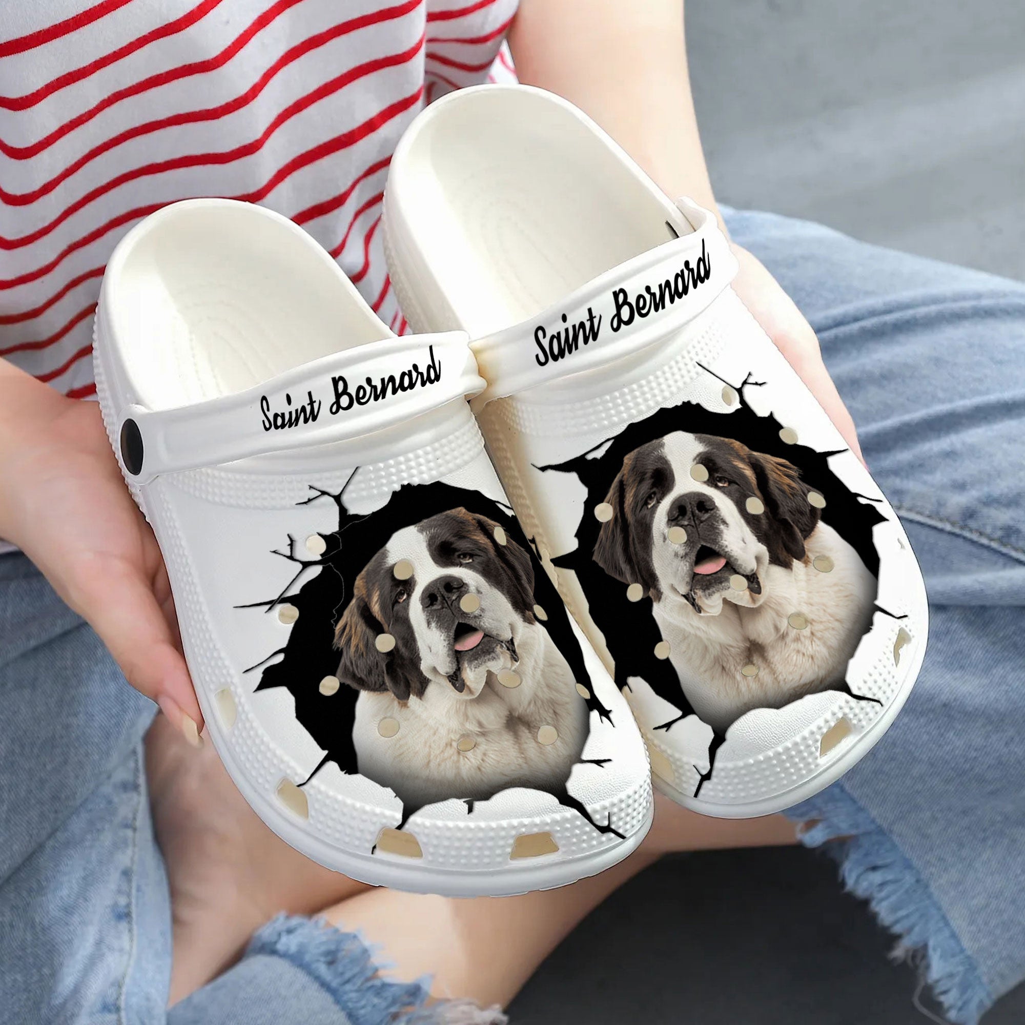 Saint Bernard - 3D Graphic Custom Name Crocs Shoes