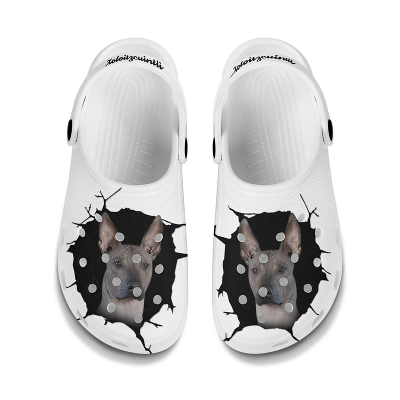 Xoloitzcuintli - 3D Graphic Custom Name Crocs Shoes