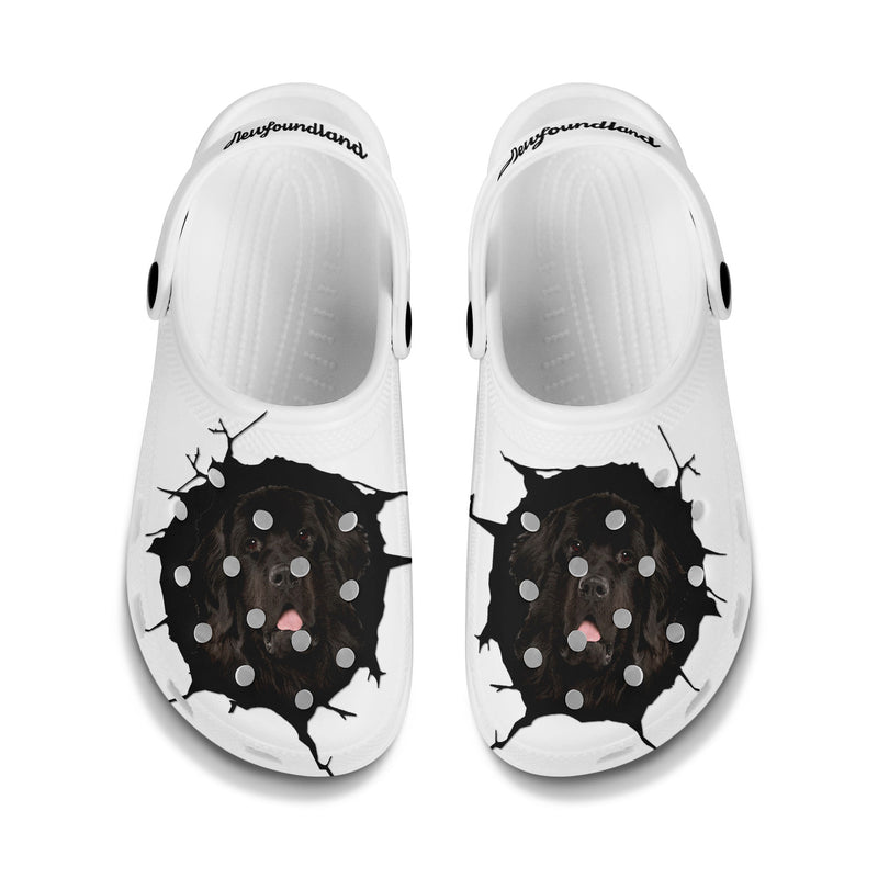 Newfoundland - 3D Graphic Custom Name Crocs Shoes