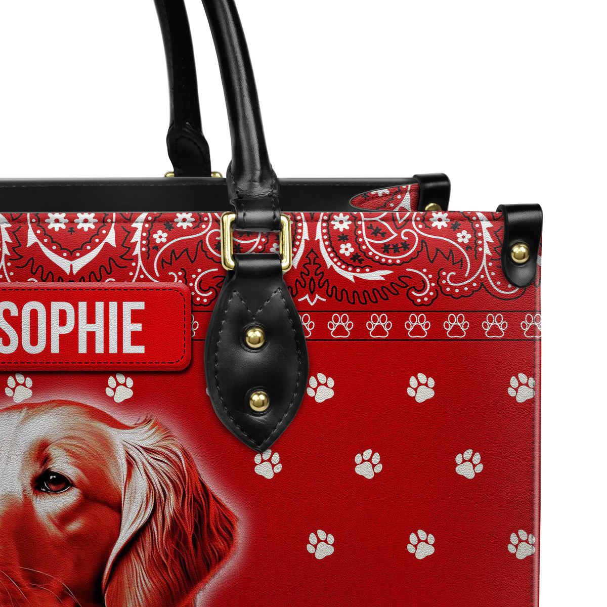 Goldeme Paisley Bandana Pattern Leather bag