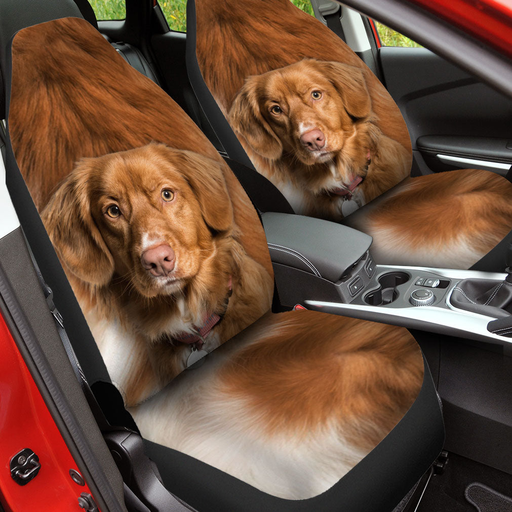 Nova Scotia Duck Tolling Retriever Face Car Seat Covers 120
