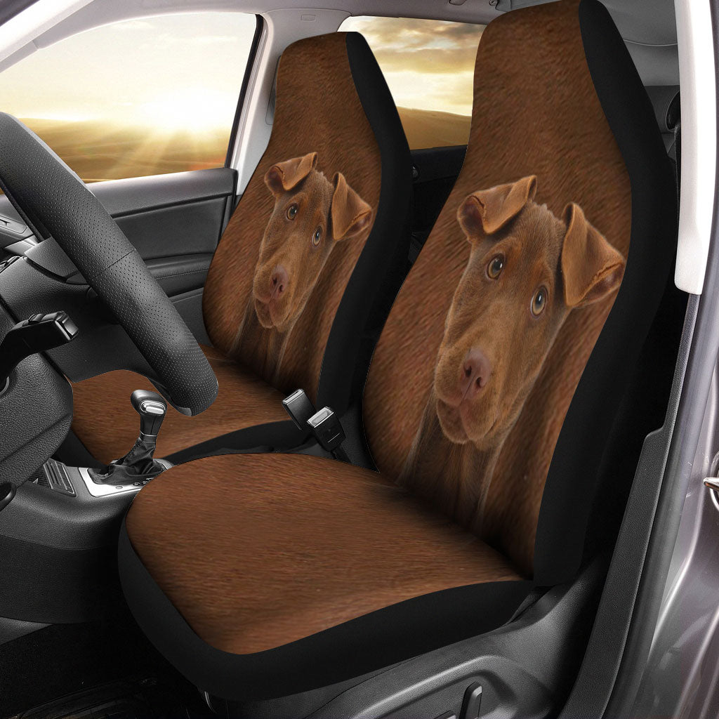 Patterdale Terrier Face Car Seat Covers 120