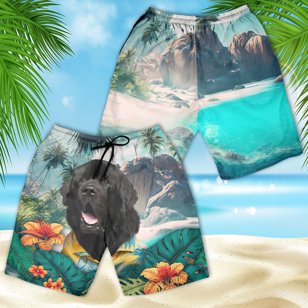 Newfoundland - 3D Men's Beach Short