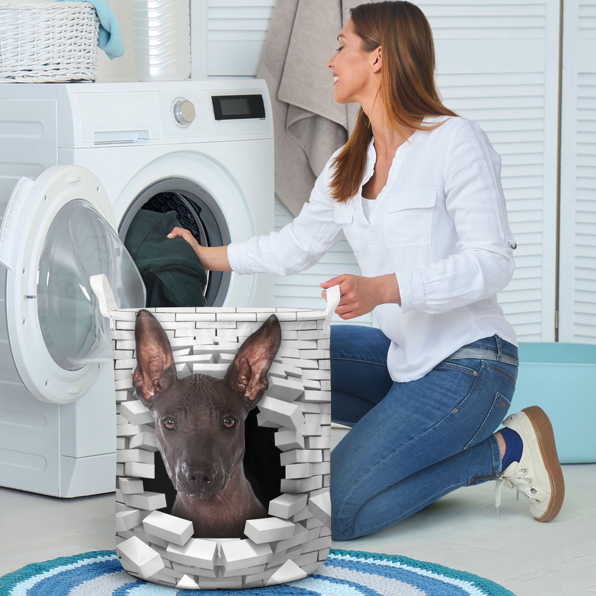 Xoloitzcuintli - In The Hole Of Wall Pattern Laundry Basket