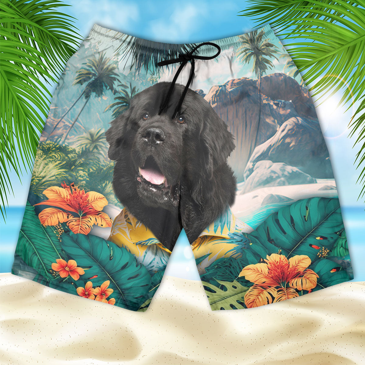 Newfoundland - 3D Men's Beach Short