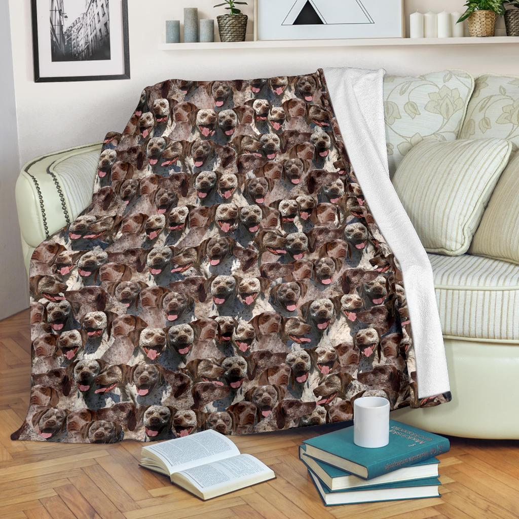 Braque Du Bourbonnais Full Face Blanket