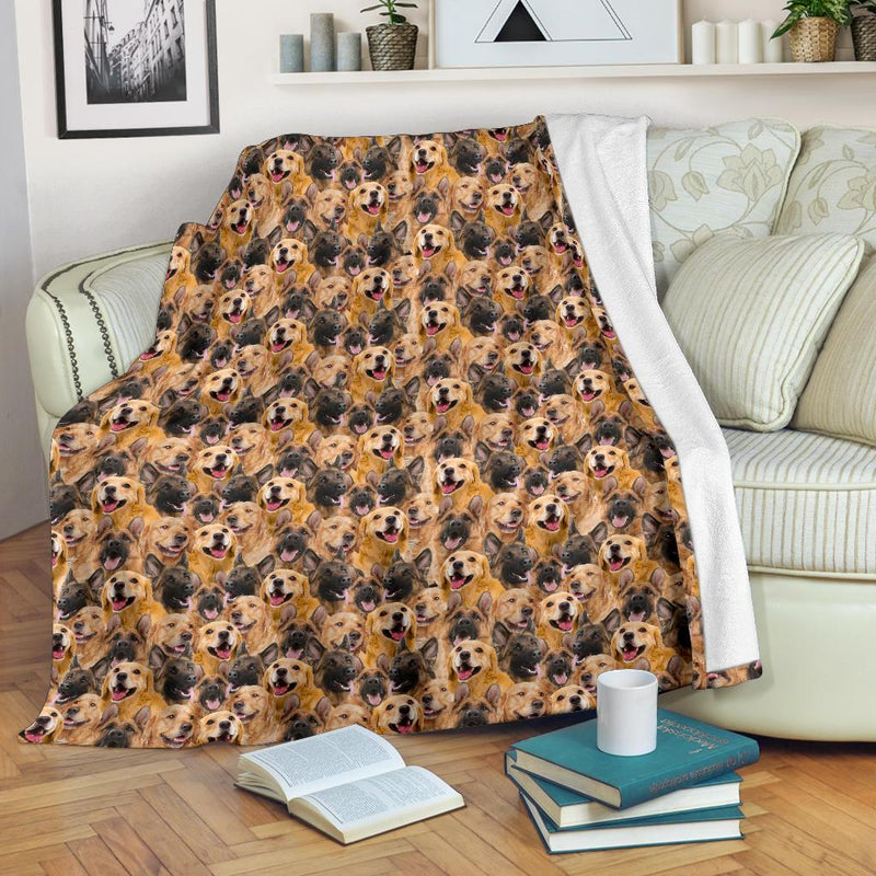 German Shepard - Golden Retriever Full Face Blanket