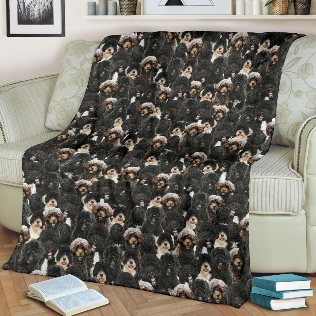 Welsh Springer Spaniel Full Face Blanket