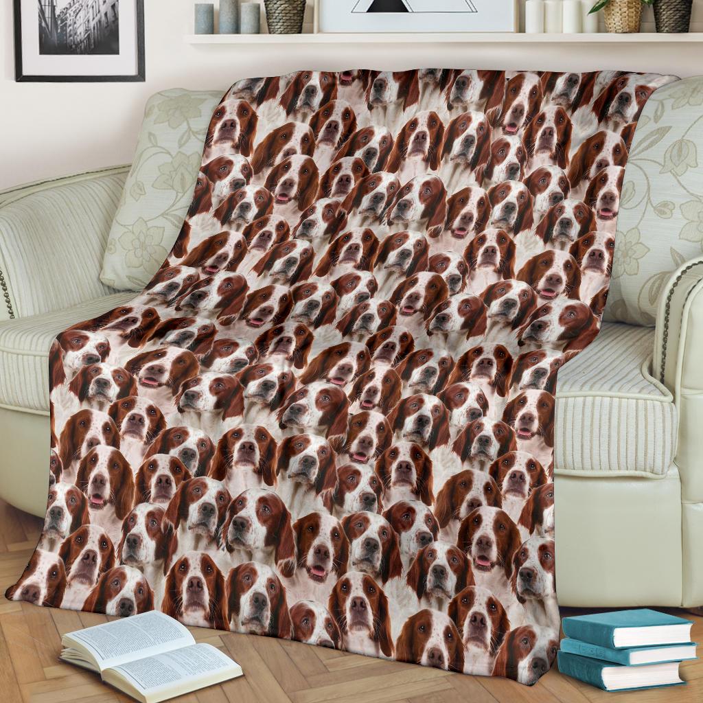 Irish Red And White Setter Full Face Blanket