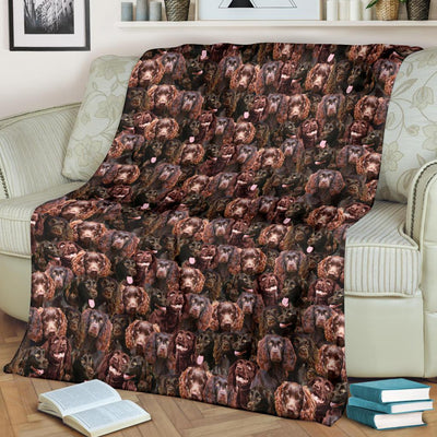 Boykin Spaniel Full Face Blanket