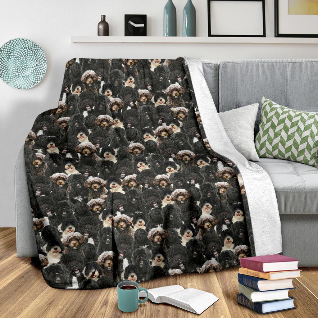 Welsh Springer Spaniel Full Face Blanket
