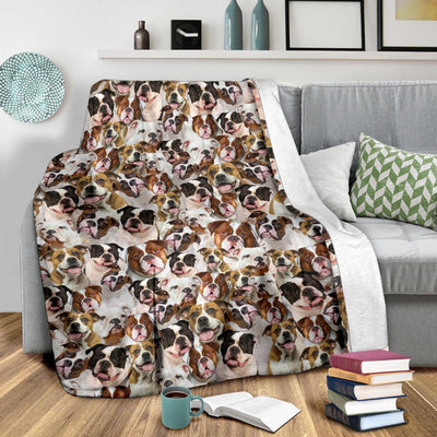 American Bulldog 1 Full Face Blanket