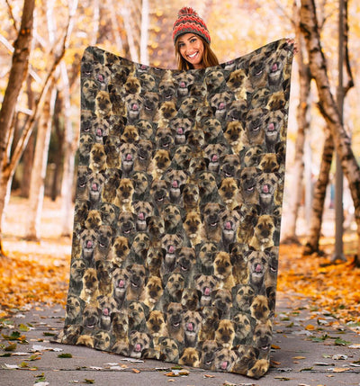 Border Terrier Full Face Blanket