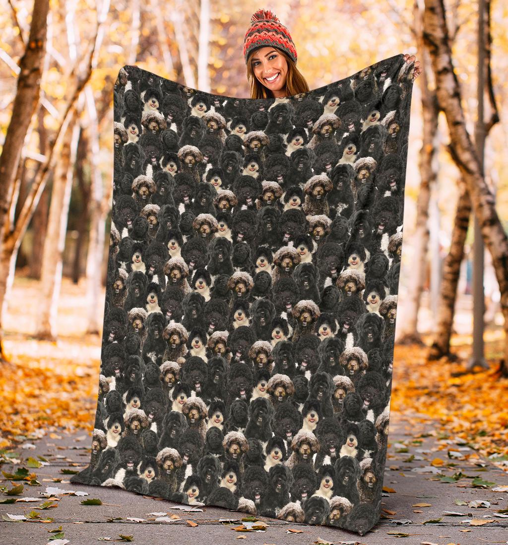 Welsh Springer Spaniel Full Face Blanket