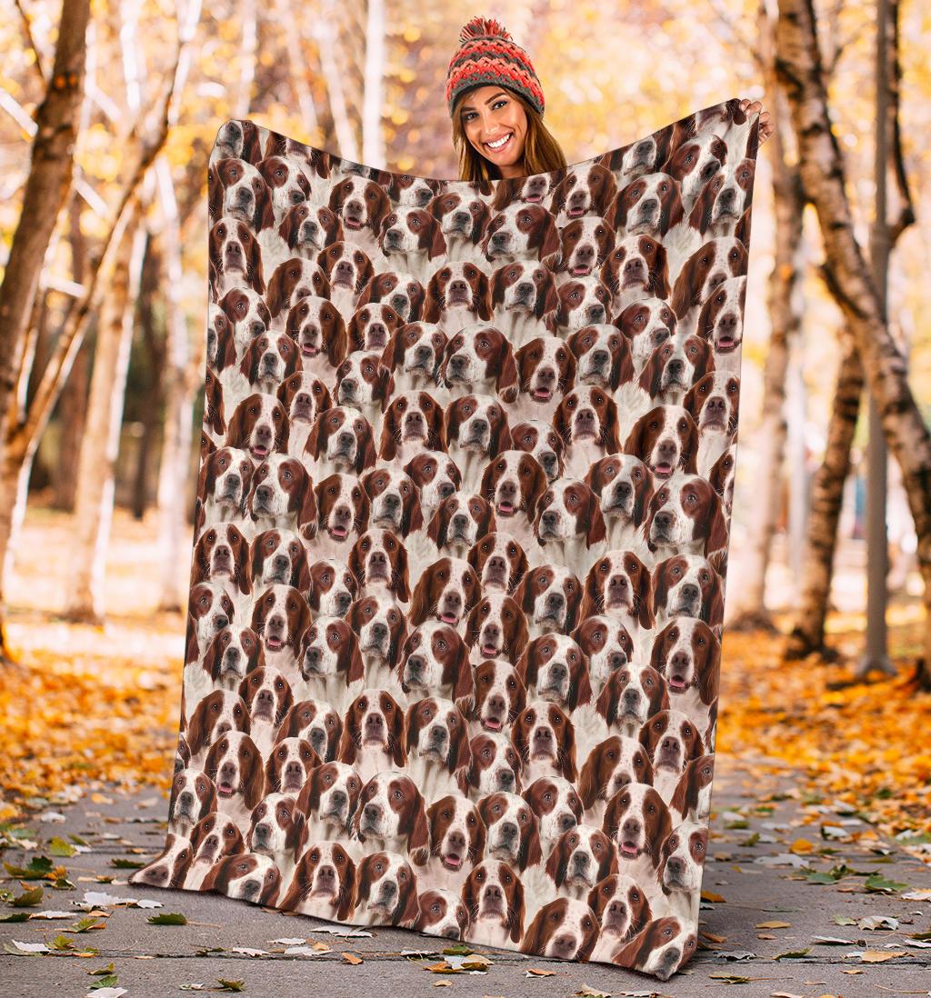 Irish Red And White Setter Full Face Blanket