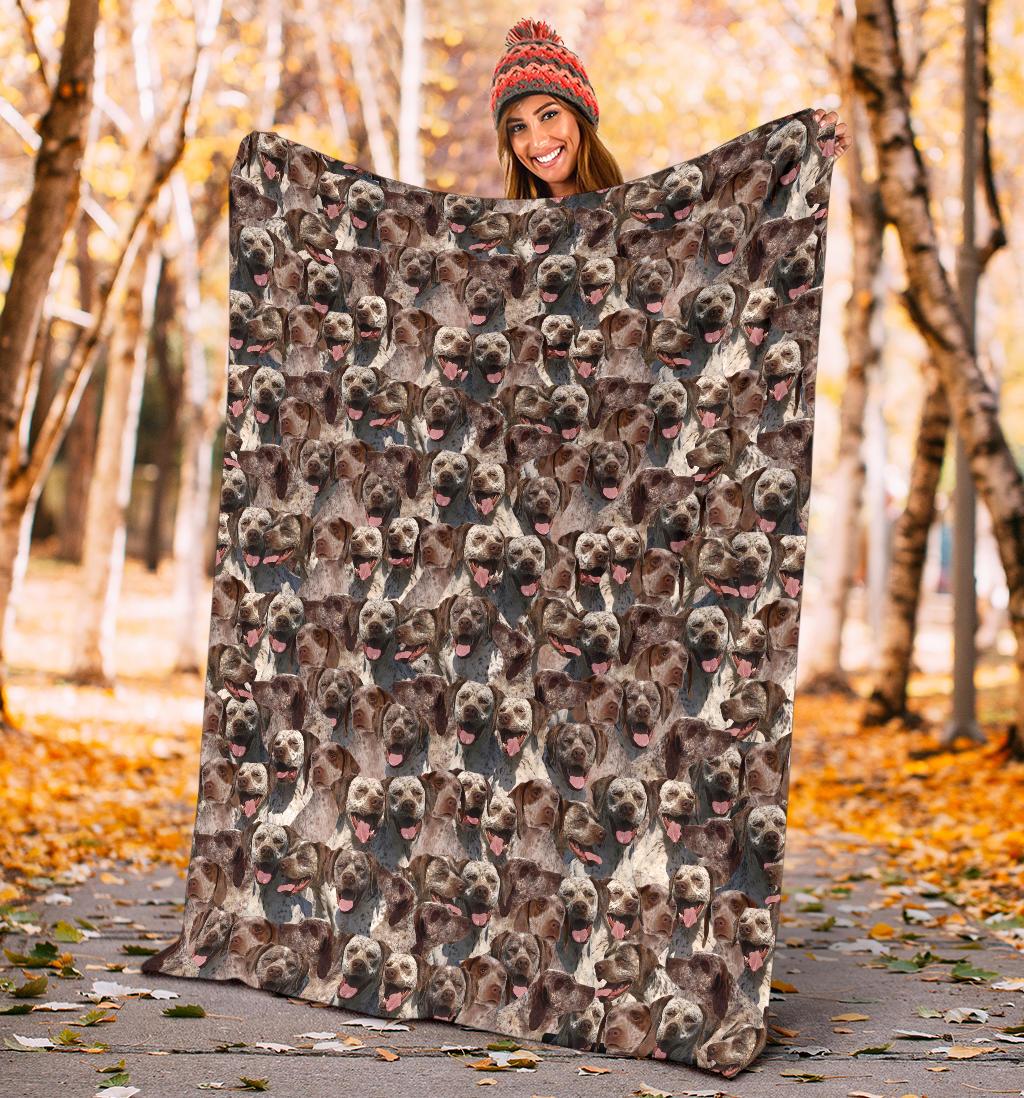 Braque Du Bourbonnais Full Face Blanket