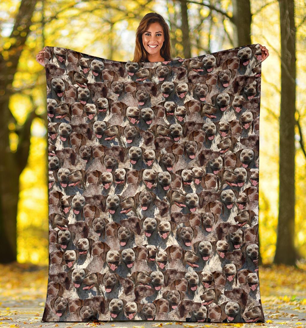 Braque Du Bourbonnais Full Face Blanket