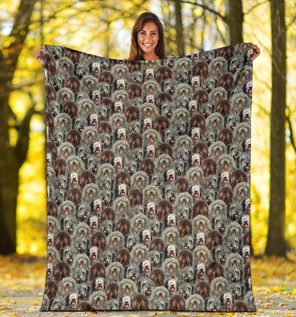 Drentse Patrijshond Full Face Blanket