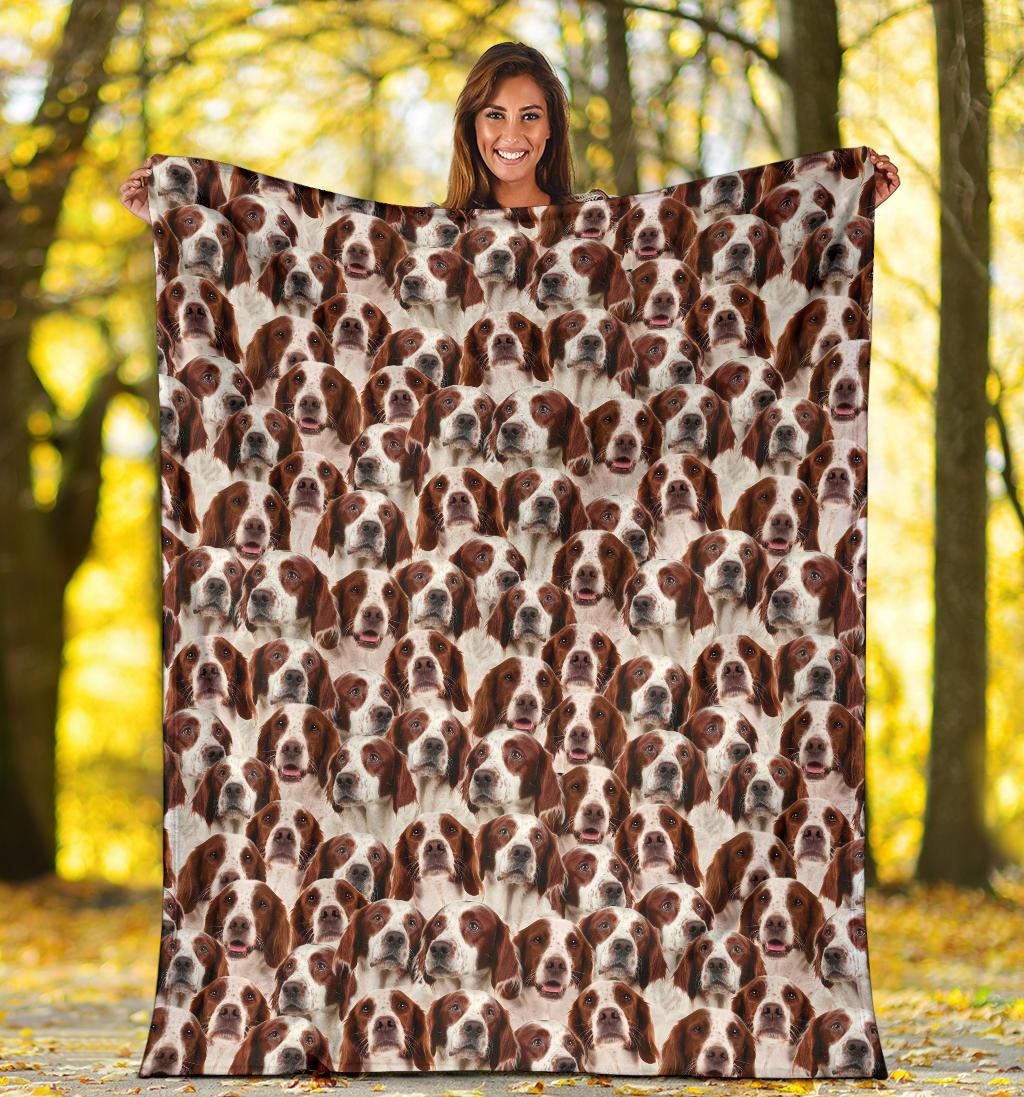 Irish Red And White Setter Full Face Blanket
