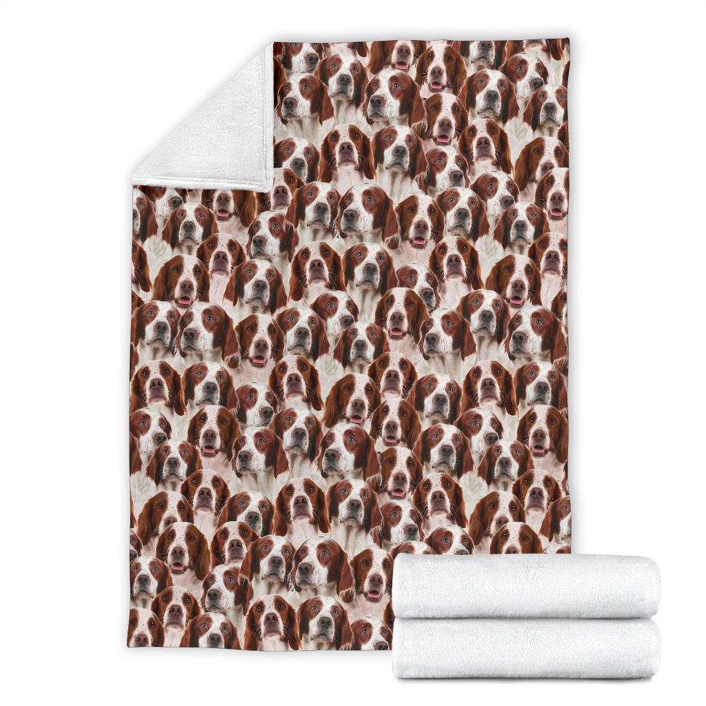 Irish Red And White Setter Full Face Blanket