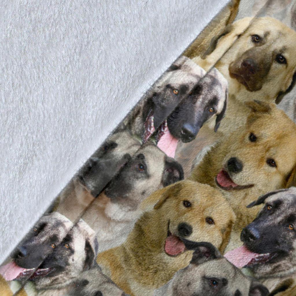 Anatolian Shepherd Full Face Blanket