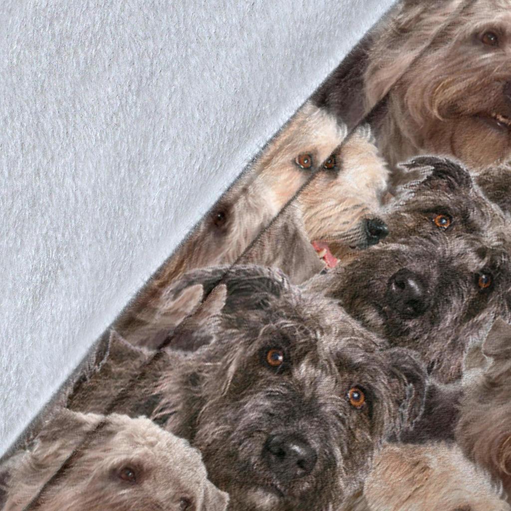 Glen Of Imaal Terrier Full Face Blanket