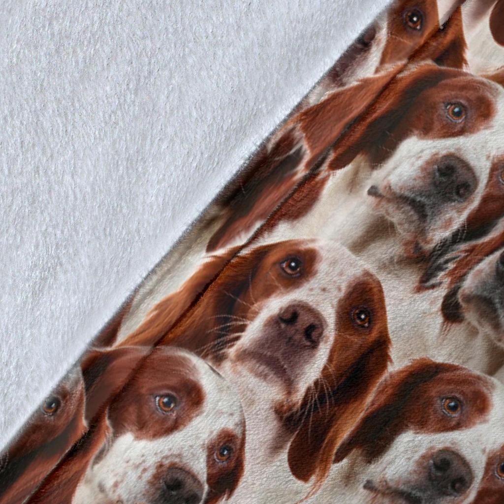 Irish Red And White Setter Full Face Blanket