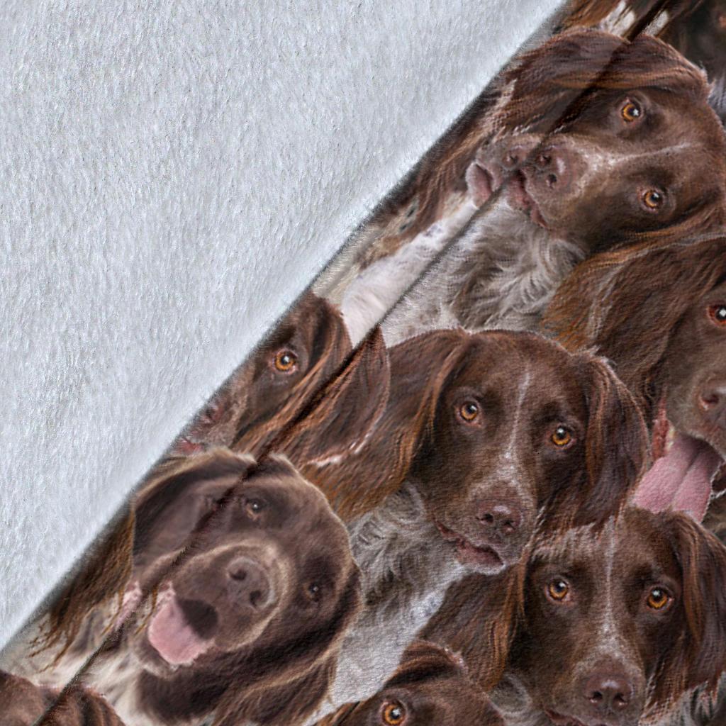 Munsterlander Full Face Blanket