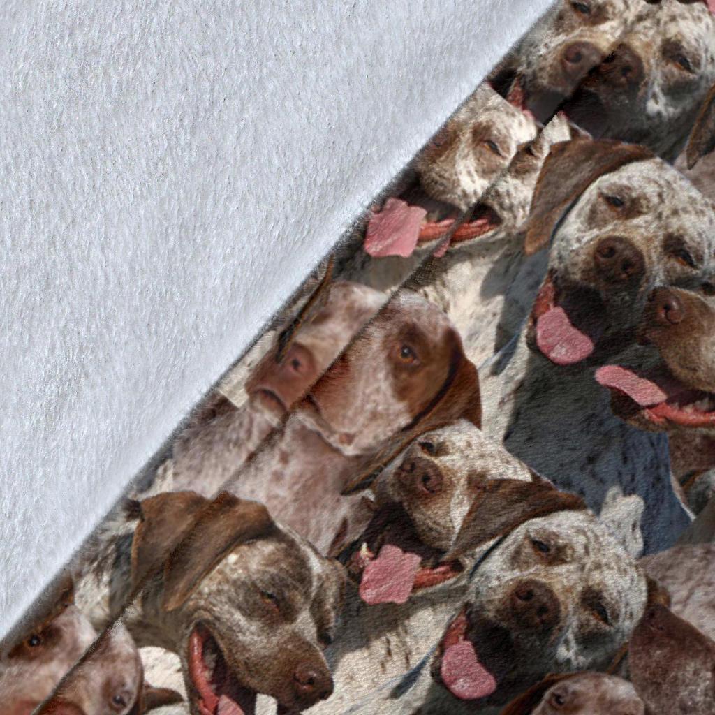 Braque Du Bourbonnais Full Face Blanket