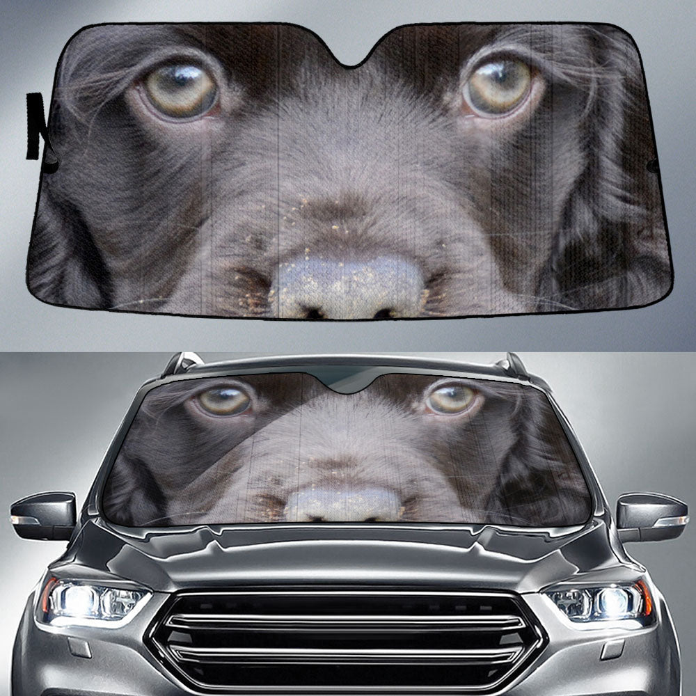 Boykin Spaniel Eyes Car Sun Shade 94