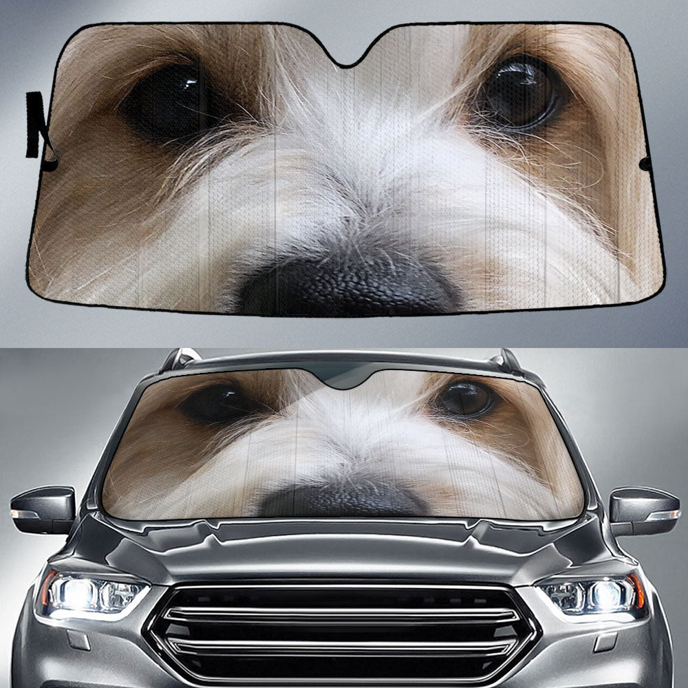 Coton de Tuleard Eyes Car Sun Shade 94