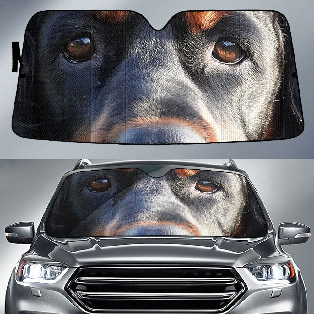 Gordon Setter Eyes Car Sun Shade 94
