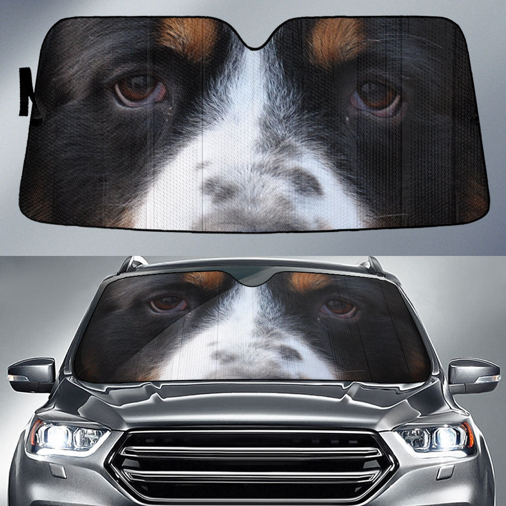 Greater Swiss Mountain Dog Eyes Car Sun Shade 94