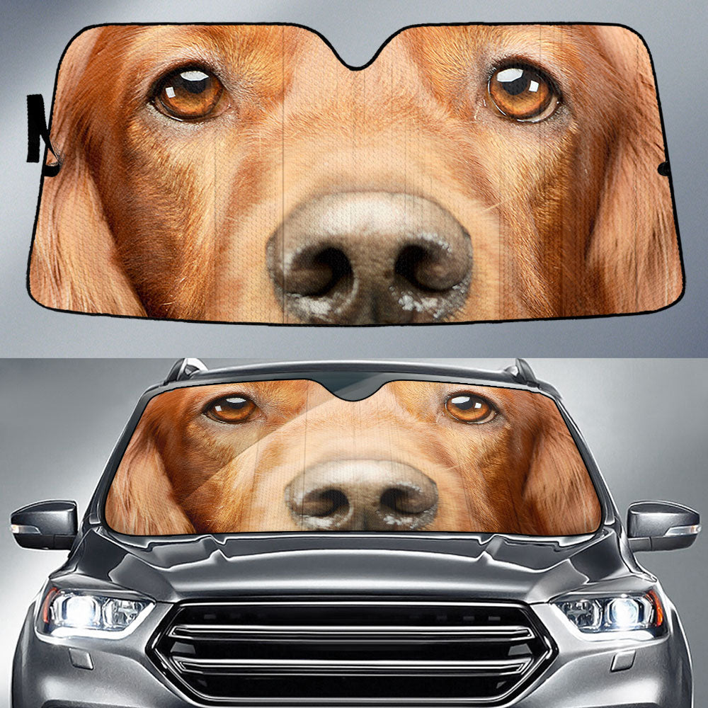 Irish Setter Eyes Car Sun Shade 94