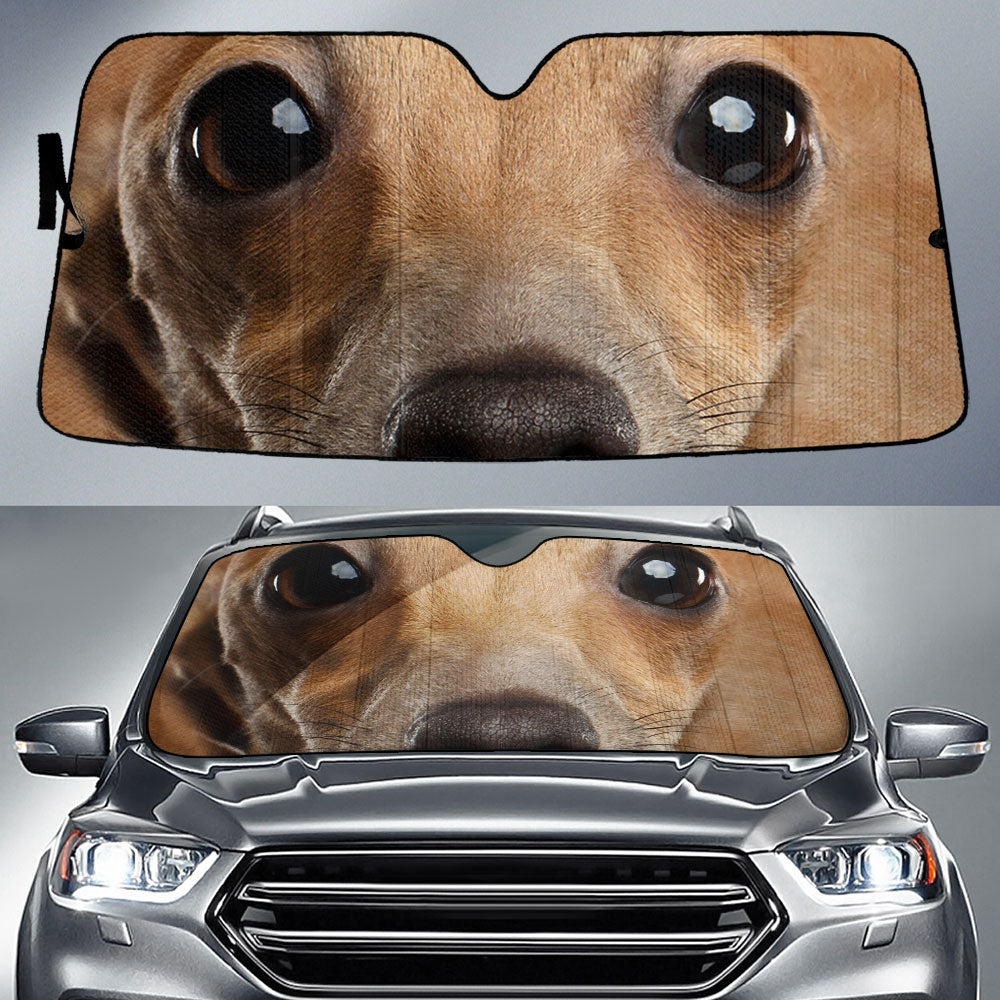 Italian Greyhound Eyes Car Sun Shade 94
