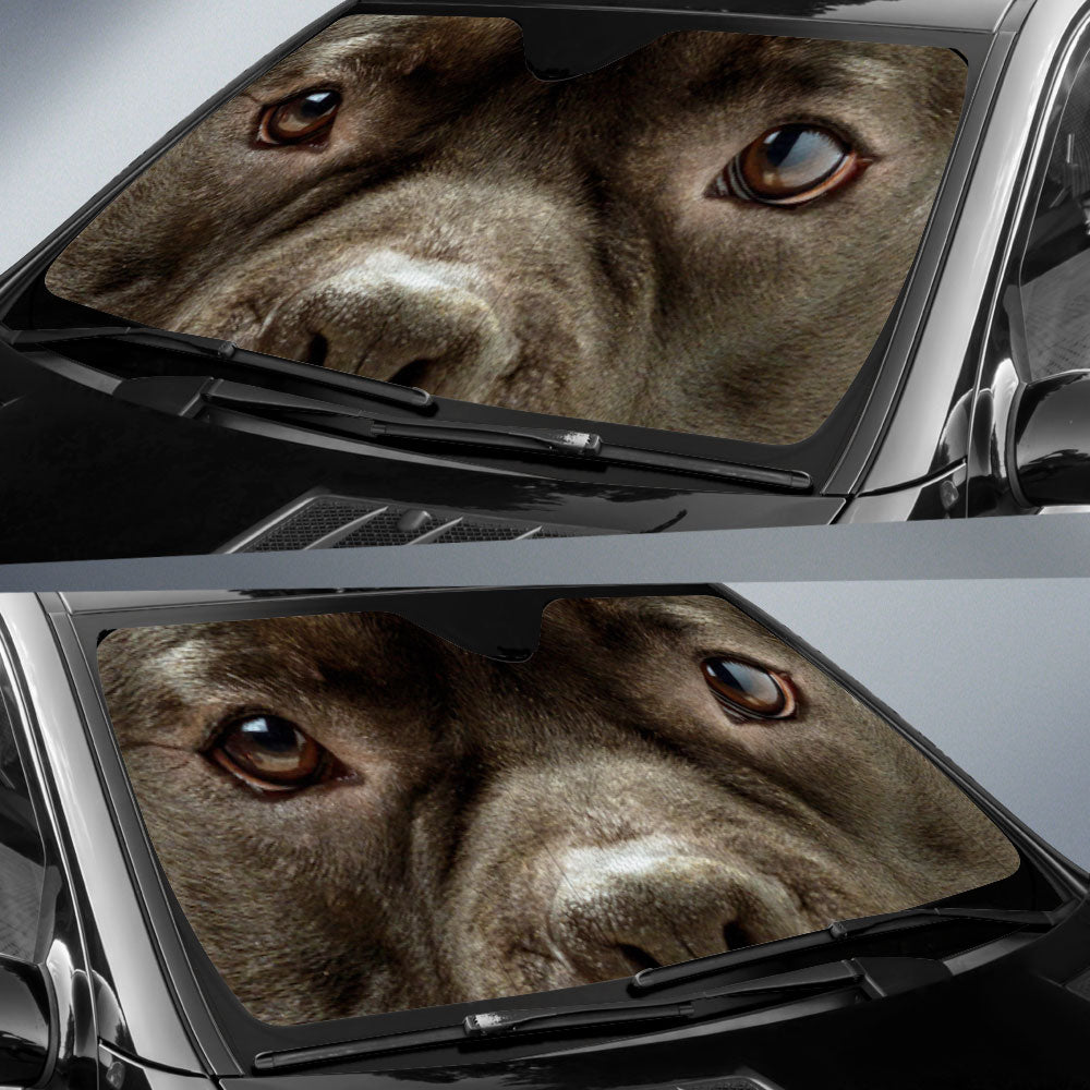 American Bully Eyes Car Sun Shade 94