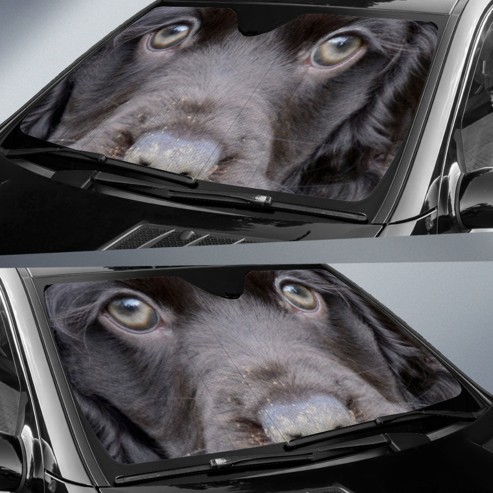 Boykin Spaniel Eyes Car Sun Shade 94