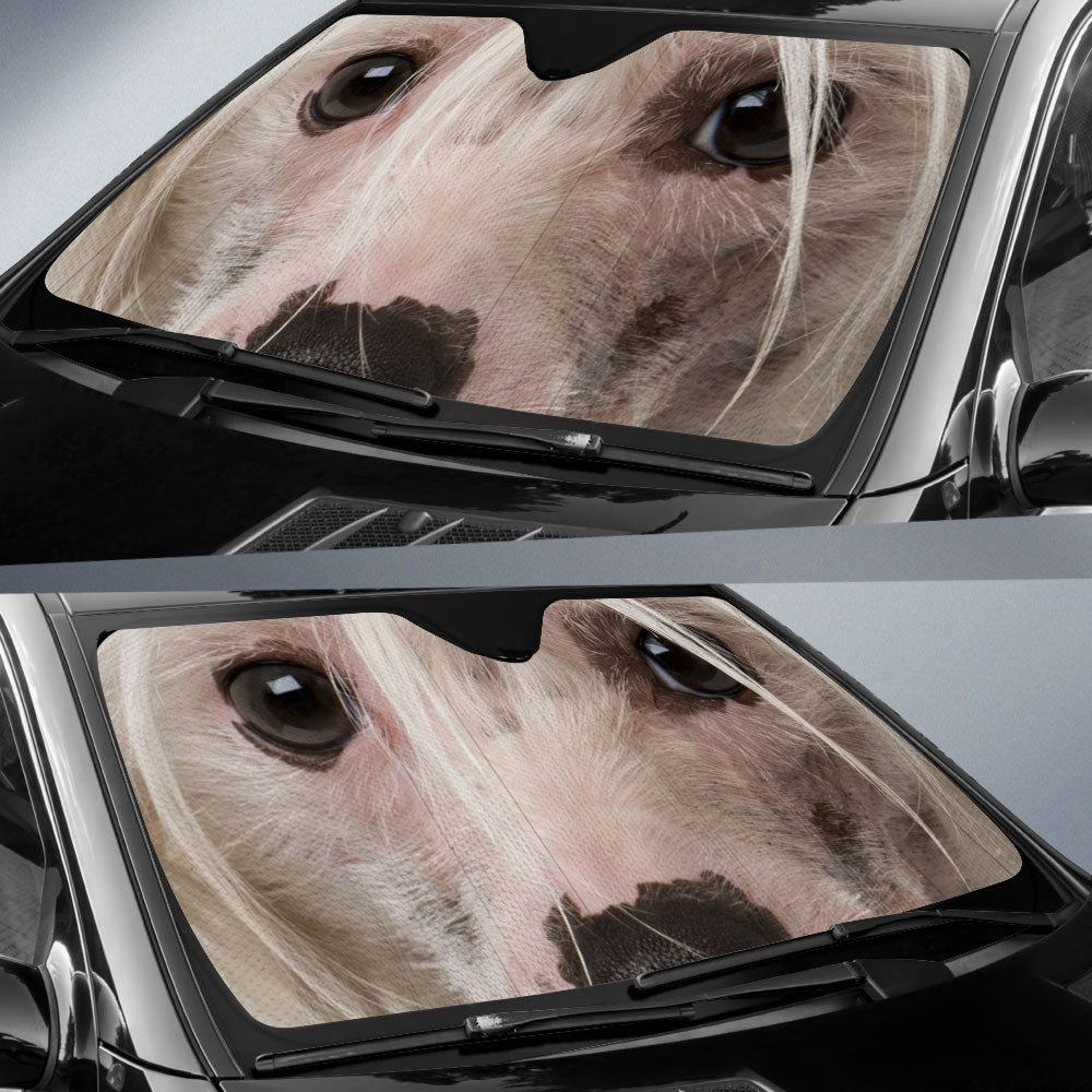 Chinese Crested Eyes Car Sun Shade 94