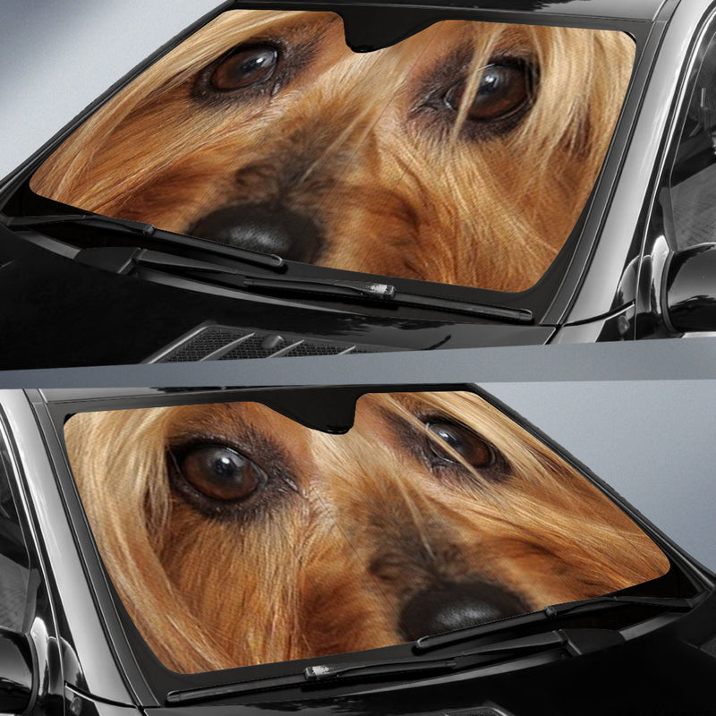 Silky Terrier Eyes Car Sun Shade 94