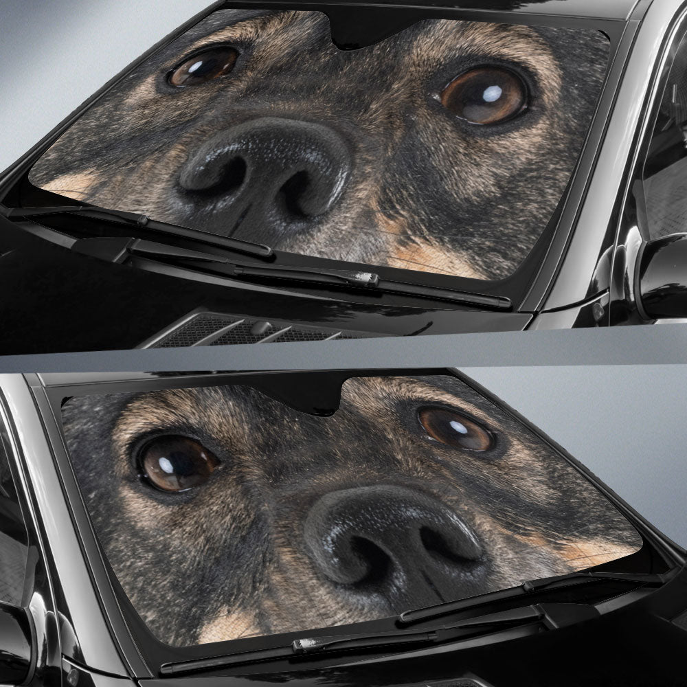 Swedish Vallhund Eyes Car Sun Shade 94