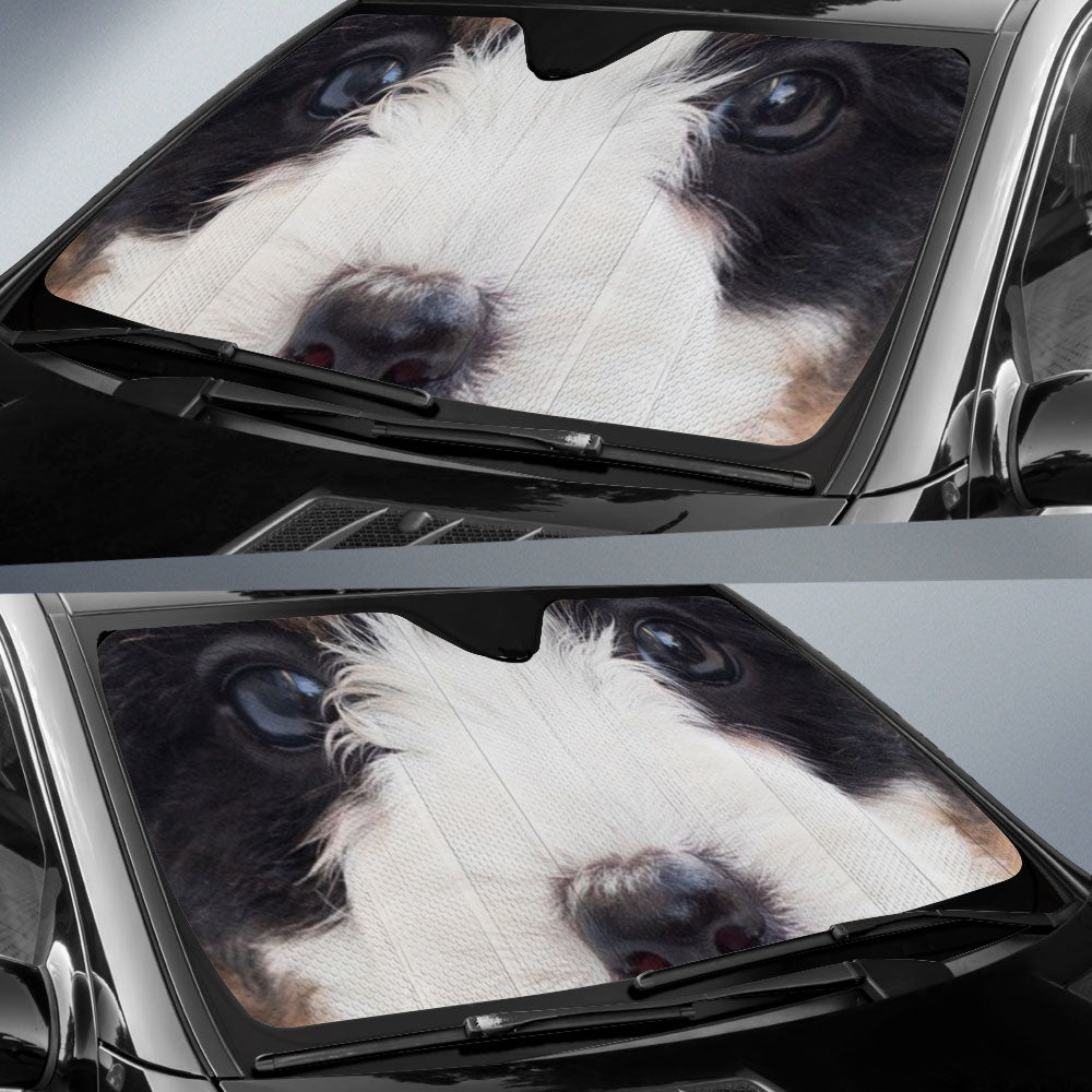 Bernedoodle Eyes Car Sun Shade 94
