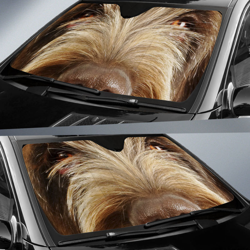 Spinone Italiano Eyes Car Sun Shade 94