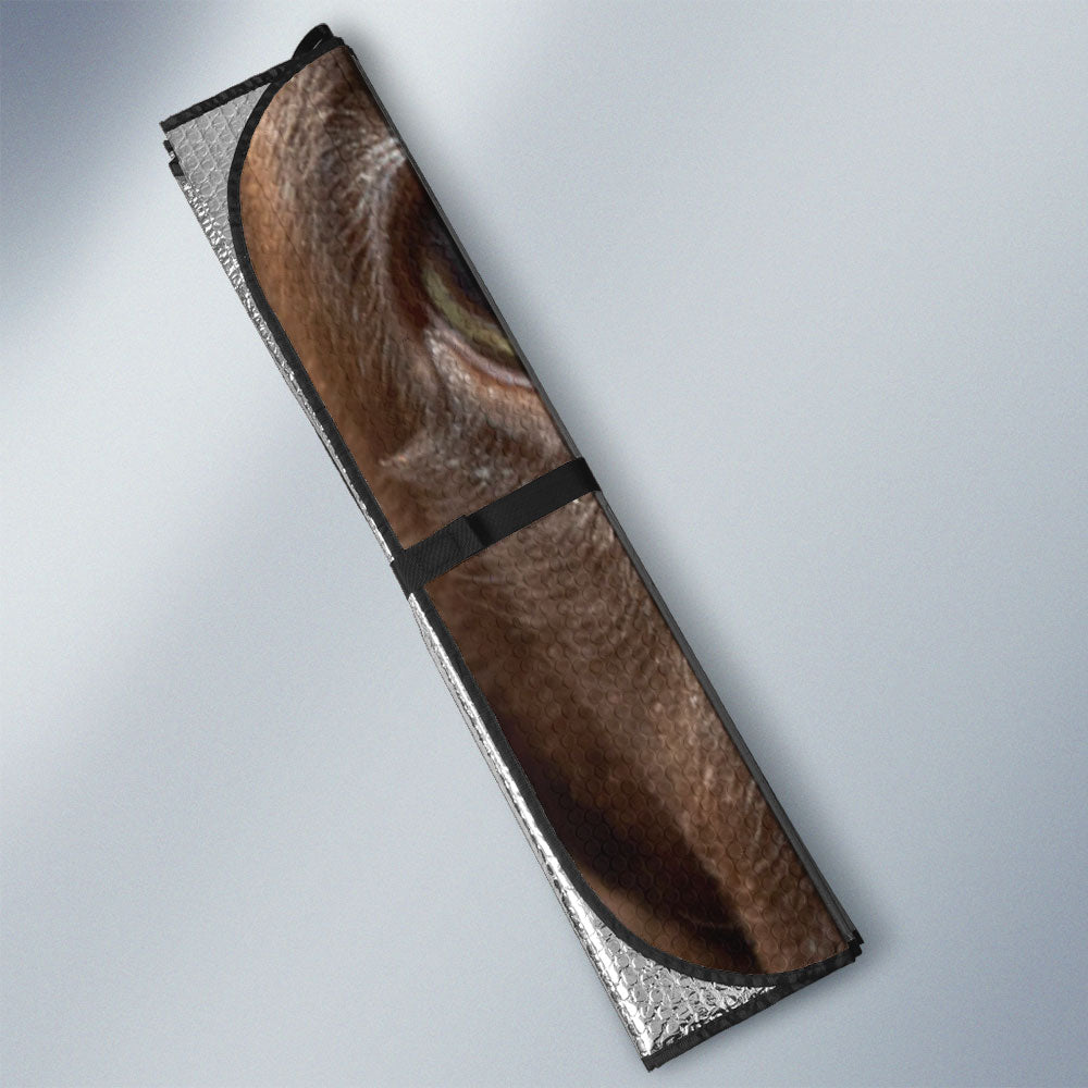 Chesapeake Bay Eyes Car Sun Shade 94