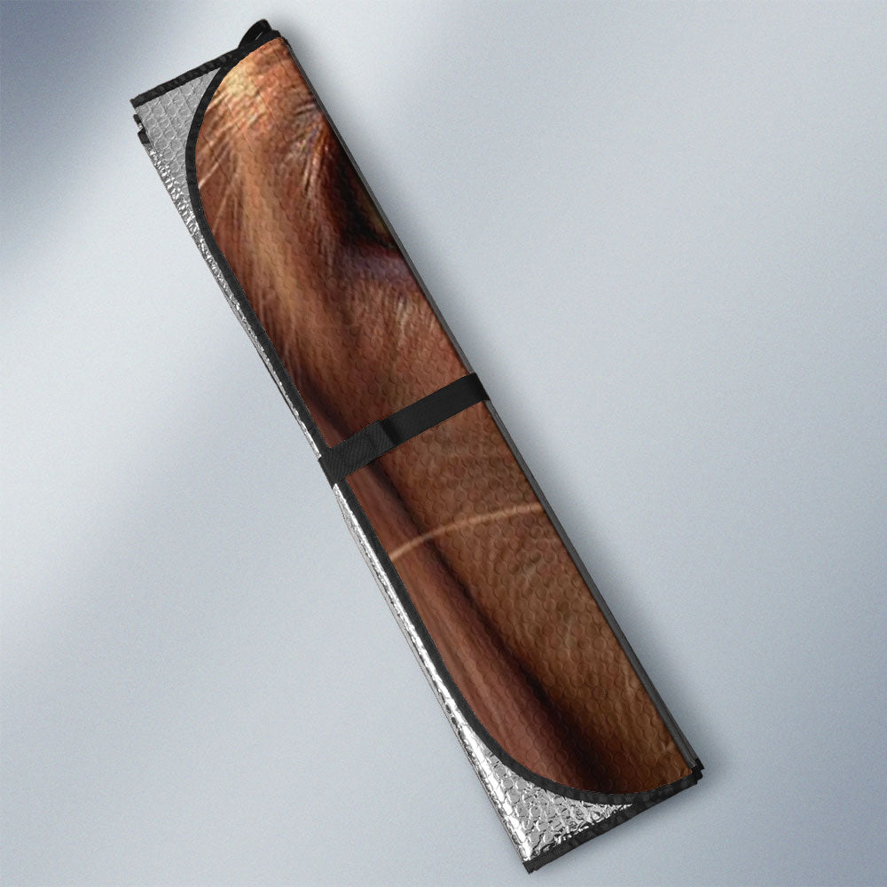 Nova Scotia duck tolling retriever Eyes Car Sun Shade 94