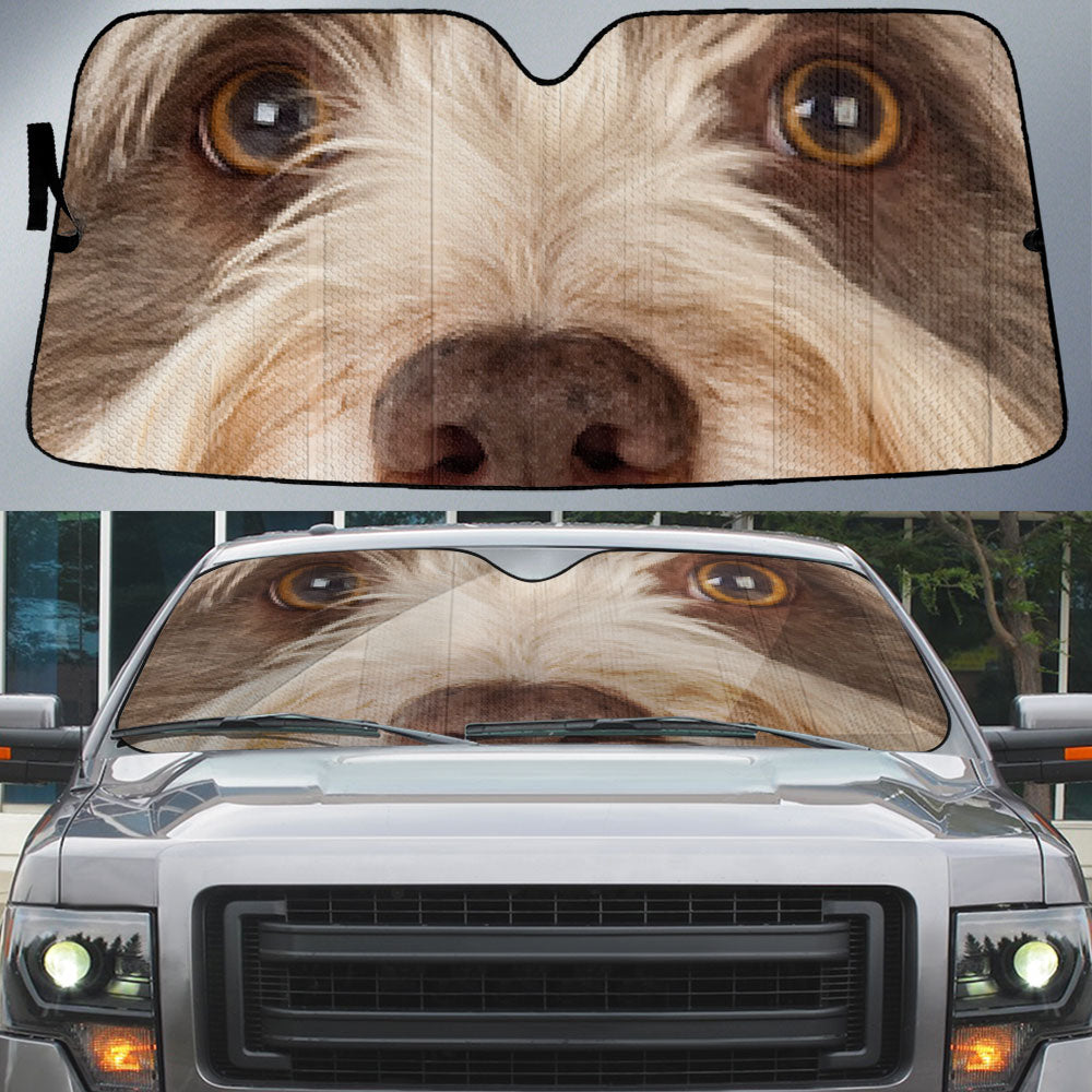 Bearded Collie Eyes Car Sun Shade 94